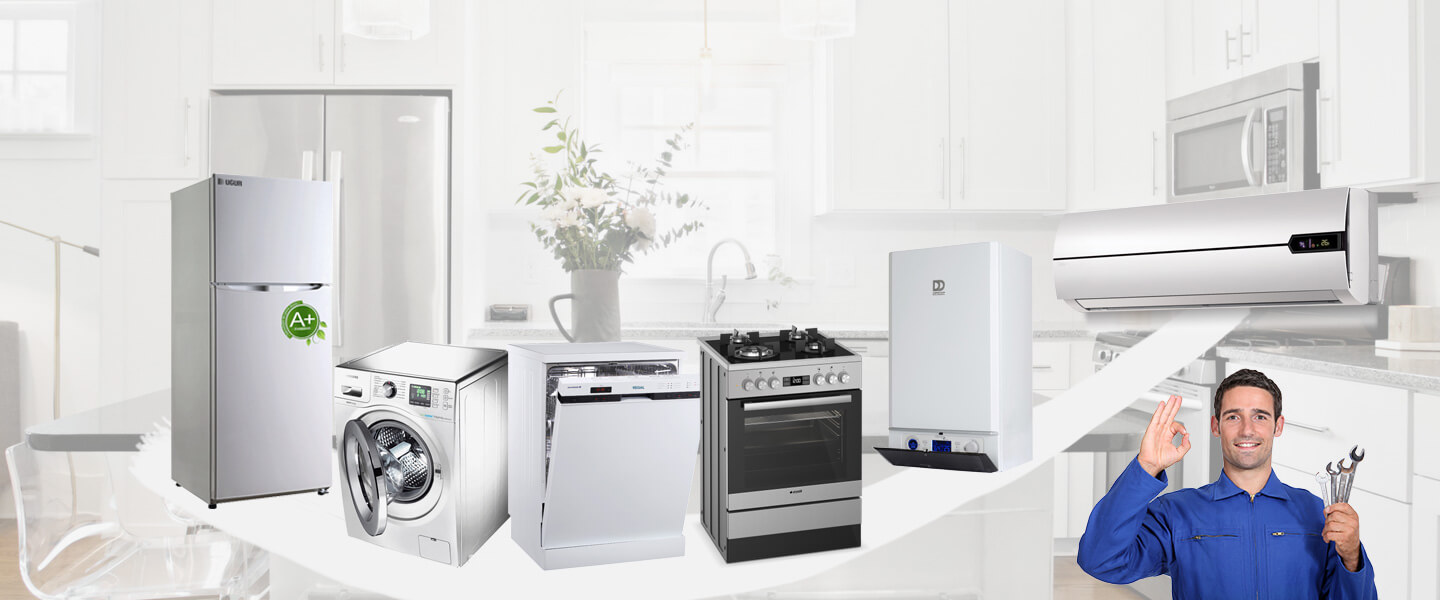 Alpu Electrolux Servisi